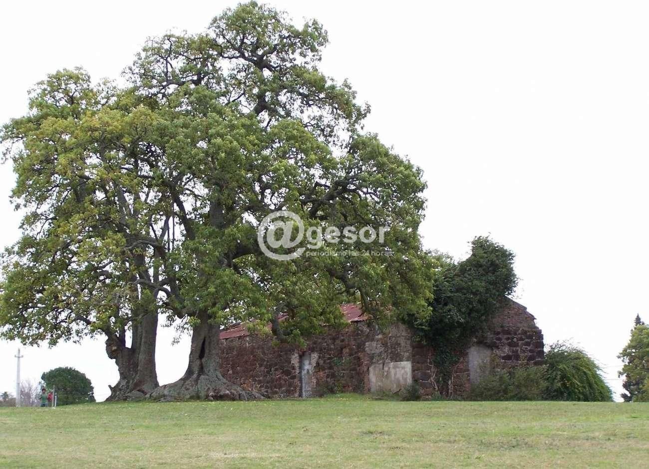 Image2